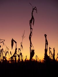 Silhouette trees on field against clear sky