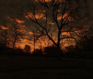 Silhouette bare trees against sky during sunset