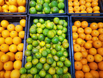 Full frame vibrant background of piles of fresh orange fruits in trays