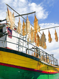 Low angle view of fish drying on boat