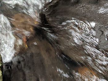 High angle view of water flowing through rocks