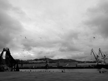 Seagull flying over sea against sky in city
