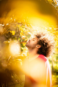 sunlight