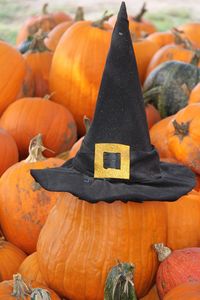 Close-up of pumpkins during autumn