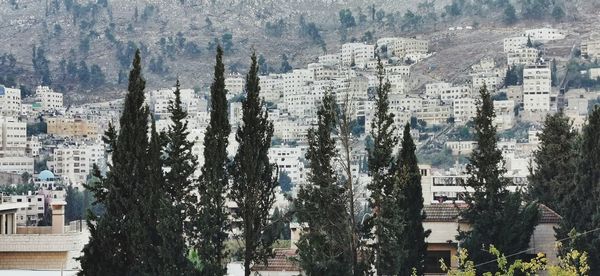 Panoramic view of buildings in city