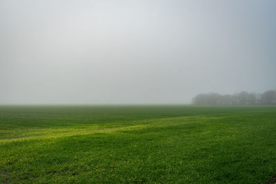 Scenic view of grassy field against sky