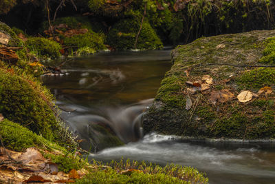 Stream flowing through rocks in forest