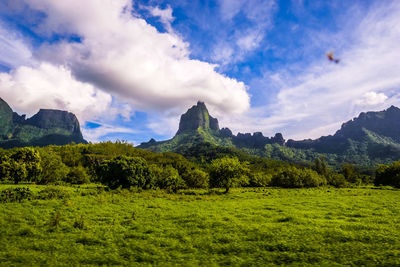 Scenic view of landscape against sky