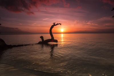 Silhouette driftwood in sea against sky during sunset