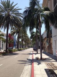 Palm trees in city against sky