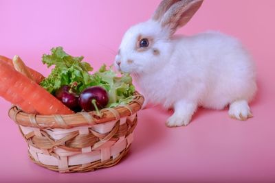 Close-up of a basket