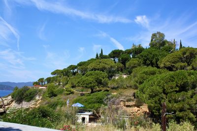 Scenic view of trees and buildings against sky