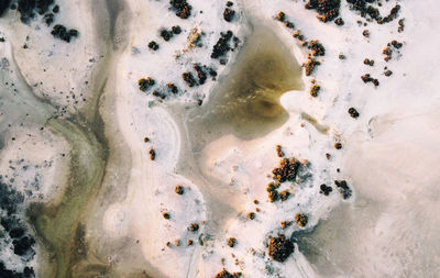 Aerial full frame shot of beach 