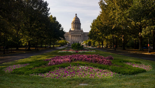 View of flowering plants in garden