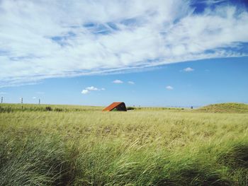 Scenic view of grassy field against sky