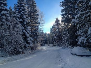 Road passing through snow covered landscape