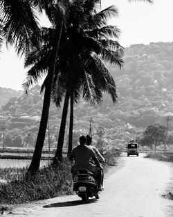 Rear view of people riding motor scooter on road by palm trees during sunny day