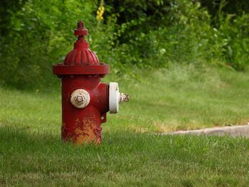 Red fire hydrant on field