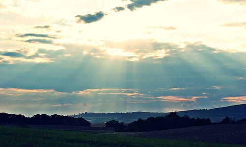 Scenic view of field against sky at sunset