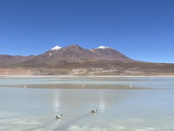 Scenic view of lake against clear blue sky