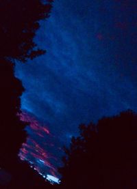 Low angle view of silhouette trees against sky at night