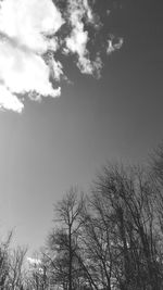 Low angle view of bare tree against sky