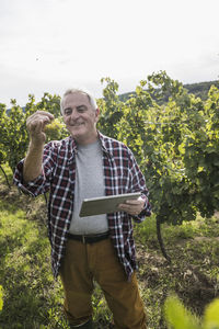 Happy senior farmer with tablet pc and grape fruit in vineyard