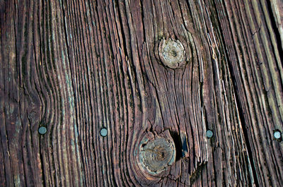 Close-up of wooden plank