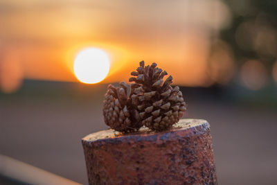 Close-up of stone wall against sky during sunset