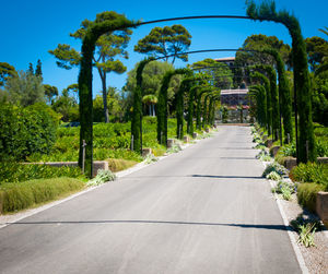 Empty road along trees and plants against sky