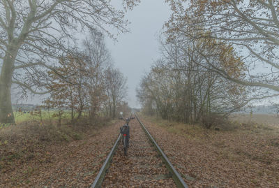 Railroad tracks amidst trees against sky