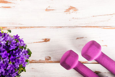 High angle view of pink flower on table