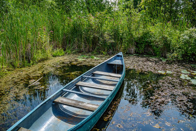 Boat moored on land by trees