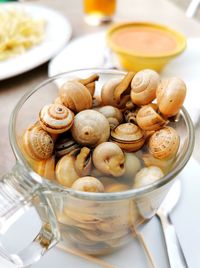 Snails with broth cordovan style from spain