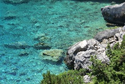 High angle view of turtle on beach