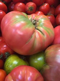 Full frame shot of tomatoes