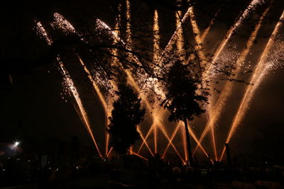 Firework display at night