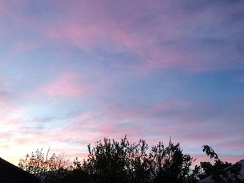 Low angle view of silhouette trees against sky at sunset