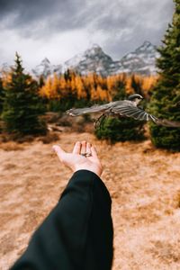 Cropped hand of woman feeding bird against cloudy sky