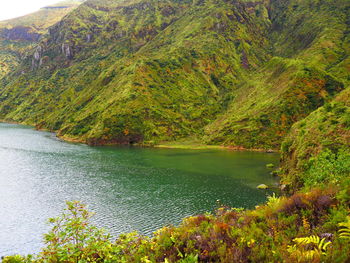 Scenic view of lake by trees during autumn