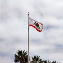 Low angle view of flag against sky