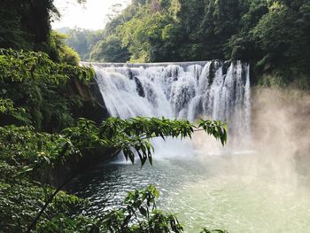 Scenic view of waterfall in forest