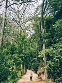 Rear view of woman walking on footpath in forest