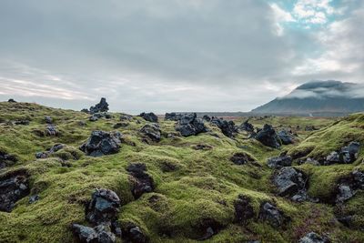 Scenic view of landscape against sky