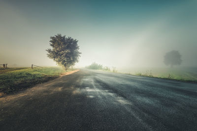 Road amidst trees against clear sky