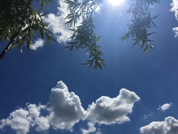 Low angle view of jellyfish against blue sky