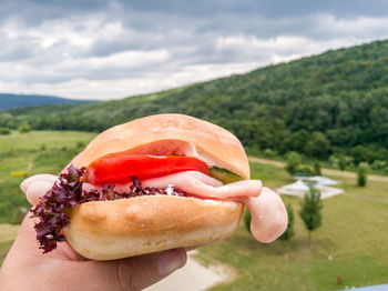 Close-up of hand holding hamburger against mountain