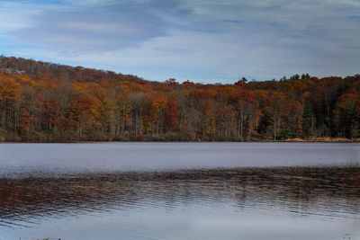 Autumn lake reflecting on a blue sky background and forest landscape