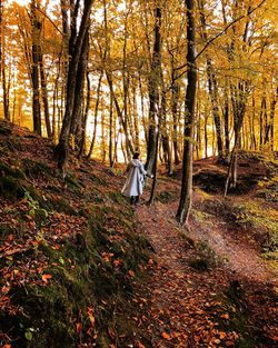 Rear view of woman standing by trees in forest during autumn