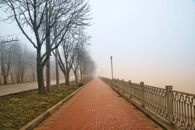 Empty footpath by bare trees against sky